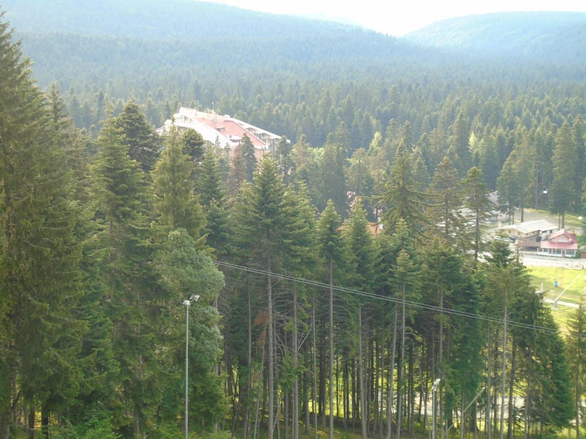 Хотел Флора Private Studio All Seasons Borovets Exterior photo