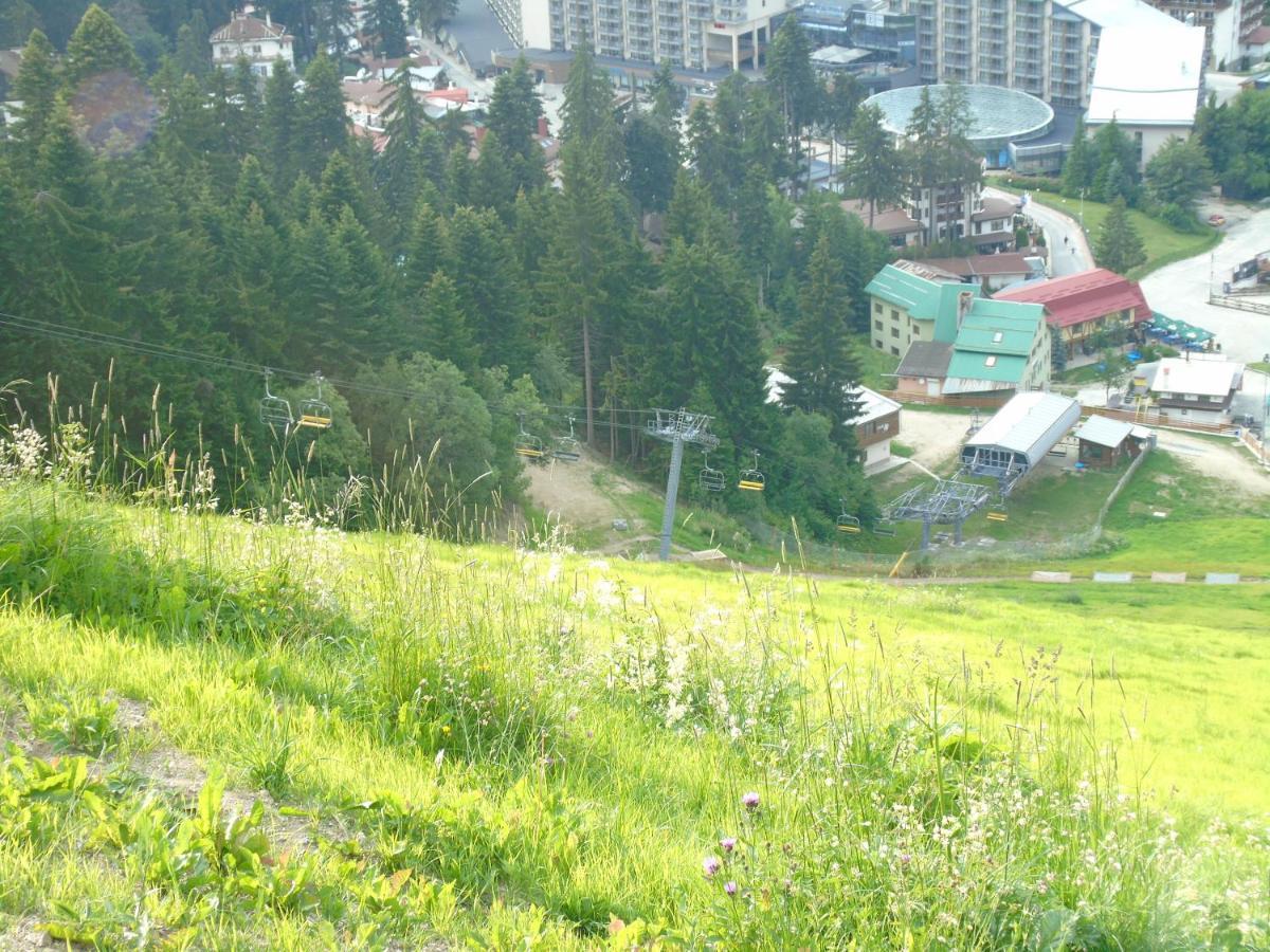 Хотел Флора Private Studio All Seasons Borovets Exterior photo